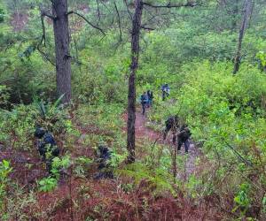 En esta zona boscosa de Tatumbla encontraron a cuatro de los cinco jóvenes asesinados, todavía se busca al quinto desaparecido.