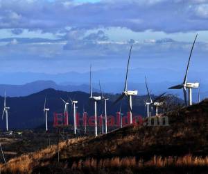 El kilovatio hora por los contratos energéticos de tecnología eólica se pagará a una diferencia de uno a dos centavos de dólar más.