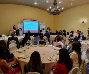 Las presentaciones de este Seminario se encuentran publicadas en la página oficial de la Embajada de la República de Corea para todos aquellos interesados en saber sobre los logros establecidos y las perspectivas a futuro de Corea y Honduras.