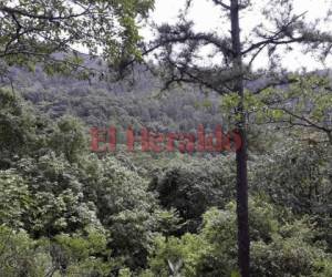 La vista desde El Jicarito le mostrará la belleza natural de la zona.