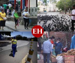 Los hondureños siguen sin acatar las medidas de restricción impuestas en el toque de queda absoluto decretado en los 18 departamentos del país para evitar el contagio del coronavirus. Fotos: Emilio Flores / Estalin Irías / Alex Pérez / Marvin Salgado / Alejandro Amador / David Romero / EL HERALDO.
