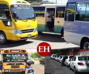 En la zona norte, las autoridades del IHTT y DNVT han aplicado sanciones a los transportistas por no acatar las medidas de bioseguridad.