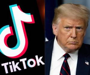 El presidente Donald Trump anunció que prohibiría a la empresa de origen chino la actividad en su país.