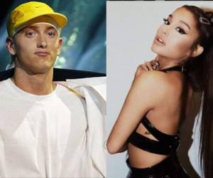 Las suposiciones de los fans han hecho tendencia el hashtag Eminem, usado en comentarios de todo tipo. Por su parte, la cantante no se ha pronunciado sobre el tema.