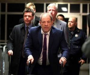 Weinstein sonrió y dijo: “¿Me veo como si le tuviera miedo a los chihuahuas?”. AP.