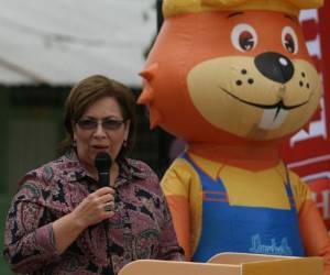 Carmen de Fléfil, gerente de Mercadeo de Larach & Compañía.