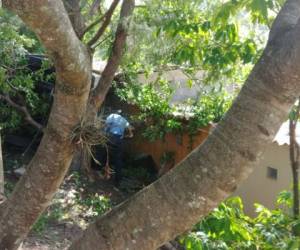 El cadáver del cobrador de la unidad de transporte quedó tendido en el patio de una casa. (Fotos: Cortesía).