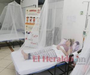 Las personas deben seguir eliminando criaderos de zancudos.