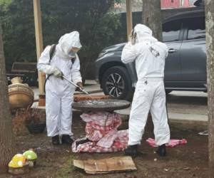 Este sábado un enjambre de abejas fue retirado en el Barrio Lempira, del municipio de Intibucá, para evitar más incidentes como el que dejó luto en Copán y en la capital.