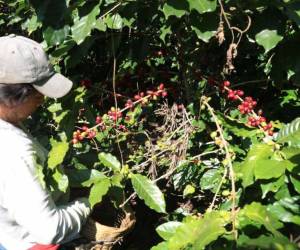 En Las Lajas, EL HERALDO constató estas versiones.