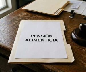 Autoridades del Poder Judicial aseguraron que el proceso se originó a raíz de una denuncia por violencia doméstica presentada por la madre del menor el 28 de agosto.