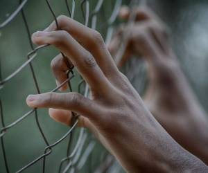 La entidad indicó que el incidente se produjo por 'pugnas de poder entre bandas' de detenidos. Foto: Pixabay