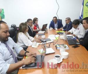 Representantes de las instituciones que forman parte del Sinager se reunieron en la Amhon para tomar acciones contra los zancudos.