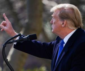 Donald Trump durante su discurso en el jardín de la Casa Blanca. Foto AFP