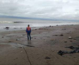 Las playas de la zona sur de Honduras se han visto afectadas por las marejadas. Foto: Twitter/Copeco