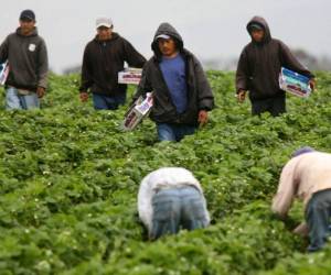 Se anticipa que la legislatura aprobará pronto una medida distinta para penalizar a las ciudades que se declaren 'ciudades santuario'. Foto: formato7.com