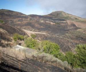 A general view shows an area affected by the wildfires near Santa Maria de Guia on the island of Gran Canaria on August 21, 2019. - All residents in the Spanish holiday island of Gran Canaria who were evacuated over a raging wildfire should be able to return to their homes, the regional president said. (Photo by DESIREE MARTIN / AFP)