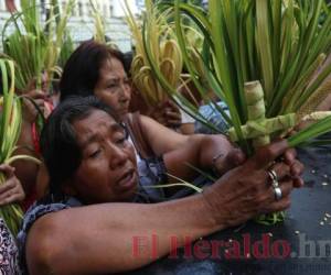 Los capitalinos comenzaron desde tempranas horas la procesión que da inicio a Semana Santa. Con ramos de olivo en las manos llegaron cientos de feligreses católicos a los diferentes puntos donde se llevan a cabo las actividades. Fotos: Johny Magallanes / Alex Pérez / David Romero / EL HERALDO