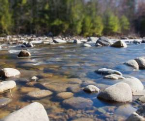 Las autoridades alemanas reportaron varios incidentes en ríos del país durante los días de altas temperaturas, con víctimas entre jóvenes y adultos que ingresaron al agua