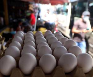 Al no existir una regulación en todos los tamaños del huevo, sus precios se disparan y los consumidores resultan afectados.