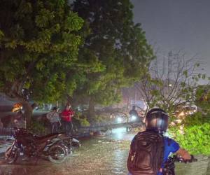 La caida de árboles se registran debido a las fuertes lluvias que azotan varias regiones de la zona norte.