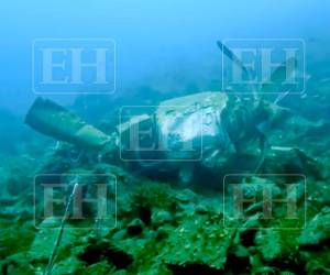 El avión sigue a 65 metros bajo las profundidades del mar. Este equipo tuvo acceso a las fotografías de la aeronave, que está en cinco partes. Para seguir con las investigaciones deben sacarlas del agua.