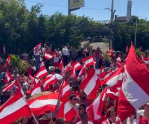 Este domingo -4 de febrero- los liberales ondearon con orgullo la bandera rojo-blanco-rojo. Sus líderes pidieron unidad y evitar conflictos a lo interno del partido.