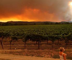 En total, son más de 300 incendios en todo el estado, incluyendo más de una veintena que se considera de gran magnitud. Foto: AFP