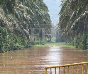 El río Leán en el departamento de Atlántida, se desbordó este miércoles provocado por las fuertes lluvias registradas en el país por la presencia de un frente frío.
