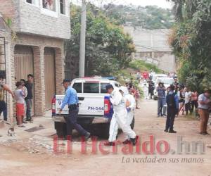 Hasta el momento se desconoce quiénes habrían perpetrado el lamentable crimen. Foto: Estalin Irías / EL HERALDO.