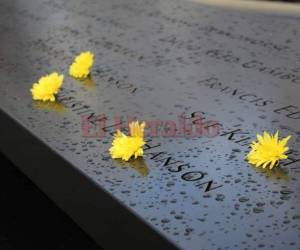 El rol de los familiares es esencial en el plano técnico, porque la identificación solo es posible a través de la comparación con una muestra de ADN suministrada por las familias. Foto Paola López/EL HERALDO.