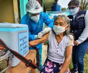 En vísperas del Día Internacional de los Pueblos Indígenas, que se conmemora anualmente el 9 de agosto, la directora de la OPS señaló que la pandemia ha exacerbado las desigualdades en las Américas.