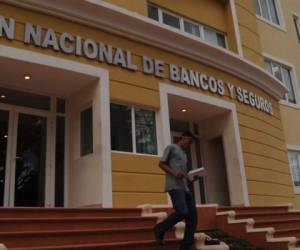 La Comisión Nacional de Bancos y Seguros será la responsable de reglamentar la Ley de Alivio de Deuda.