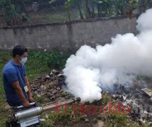 Comayagua tiene presupuesto para lucha contra el dengue. Foto: EL HERALDO.