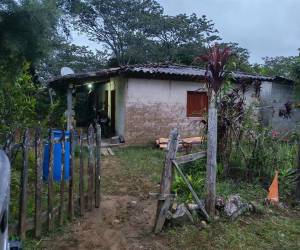 El cuerpo sin vida de don Timoteo Castillo, fue encontrado en medio de las plantas de café en el patio trasero de su casa.