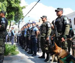 Todos los entes de seguridad del Estado, acompañados con perros amaestrados, se desplegaron por el país para proteger de asaltos a la población. Foto: Cortesía.