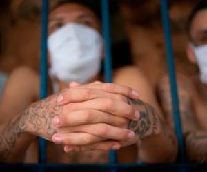 Las pandillas Mara Salvatrucha y Barrio 18, entre otras, tienen unos 70.000 miembros en El Salvador, más de 17.000 de ellos encarcelados, según las autoridades, y operan a través de homicidios, extorsiones y narcotráfico.
