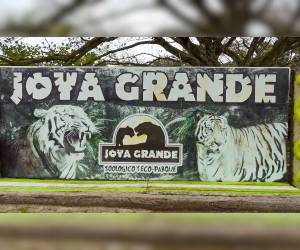 La visita se llevó a cabo tras la firma de un convenio para la administración del zoológico Joya Grande.