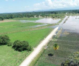 El gobierno aún no ha cuantificado el impacto de la tormenta tropical Julia en la economía nacional.