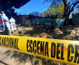 El crimen se registró este viernes en la aldea La Plomosa, municipio de Concepción de María, Choluteca, al sur de Honduras.