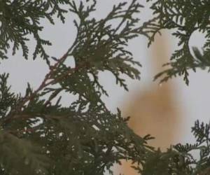 Con 4 mil dólares en material edificó una mano humana levantando el dedo del medio.(Foto: Facebook)