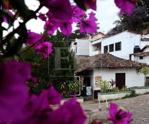 Aproximadamente a unos 13 kilómetros de la capital se encuentra Santa Lucía, un rincón pintoresco que parece como si estuviera detenido en el tiempo y que se erige como uno de los municipios más antiguos y pintorescos del país. A continuación algunas fotografías captadas por la lente de EL HERALDO que invitan a visitar este lugar que se ha convertido en un refugio para muchos capitalinos cada fin de semana.