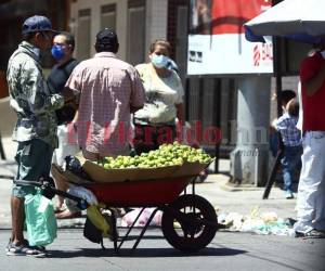 Empresarios, dirigentes civiles y de mercados coinciden en que el gobierno podría ayudar a los pequeños agricultores.