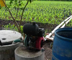 Las autoridades de la Secretaría de Agricultura y Ganadería (SAG) buscan rehabilitar los distritos de riego para fortalecer la producción agrícola en varias regiones del territorio nacional.