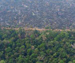 Los incendios en Brasil aumentaron 85% en lo que va del año respecto al mismo periodo de 2018. Datos satelitales del Instituto de Investigaciones Espaciales (INPE) cuentan que hasta el 22 de agosto hubo 76,720 puntos de incendio -1,384 más que la víspera-, con un 52.6% en la región amazónica. Foto: AP