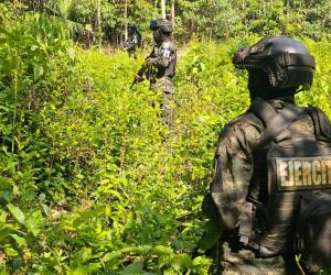 Efectivos del Ejército custodian la plantación, que luego será erradicada en coordinación con el Ministerio Público (MP).
