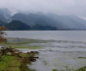 No hay riesgo de brote de cólera en Santa Cruz de Yojoa, afirma Marlon Pineda.