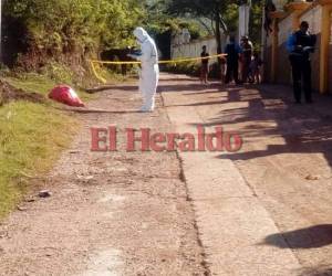 Al lugar llegaron los miembros de la DPI para realizar el levantamiento. Foto: Estalin Irías/EL HERALDO