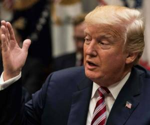 Trump evocó al grupo yihadista Estado Islámico (EI): 'No debemos permitir que el EI regrese, o entre, a nuestro país'. Foto: AFP