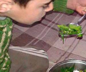 En un pueblo sitiado por Bashar al Assad comen pasto, gatos y perros.